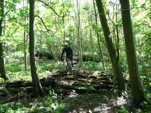 James riding 'ill-in-the-head'